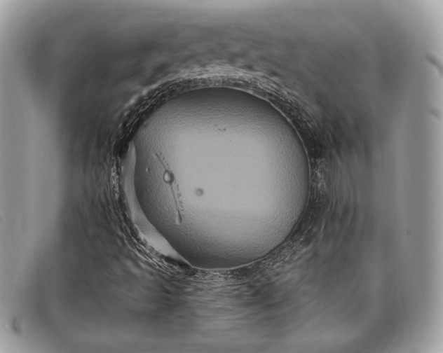 X0000098011493200804111220