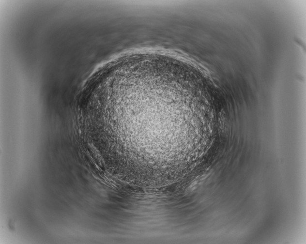 X0000098011494200804111220