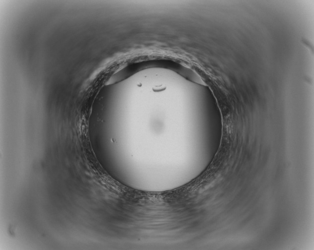 X0000098011495200804111220