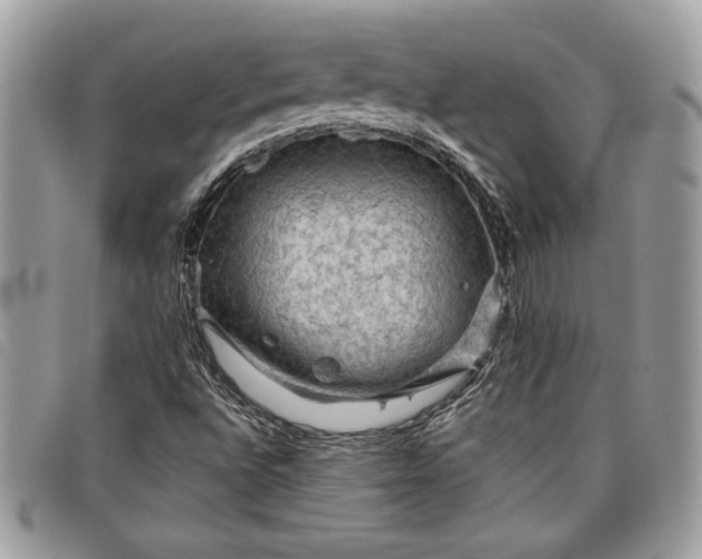 X0000098011496200804111220