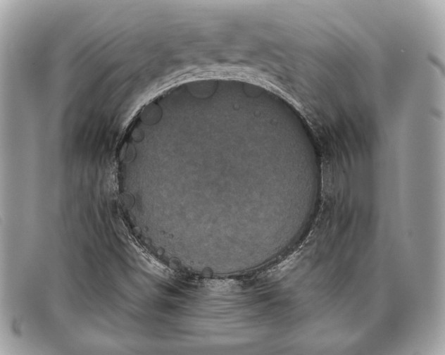 X0000098011498200804111220