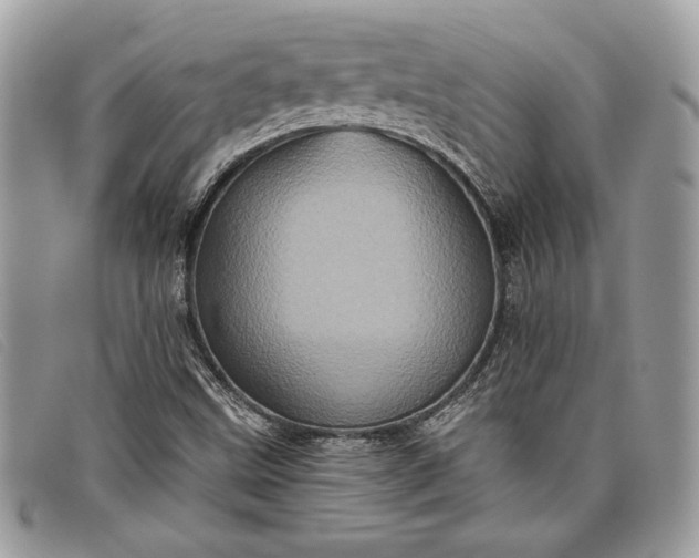 X0000098011499200804111220