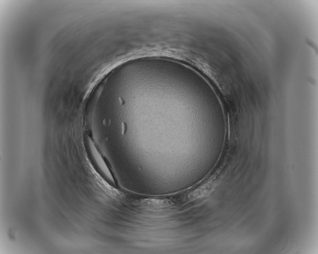 X0000098011500200804111220