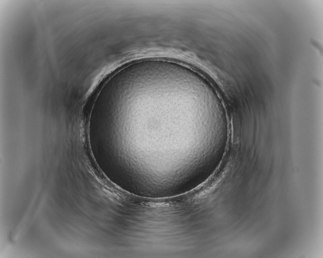 X0000098011501200804111220