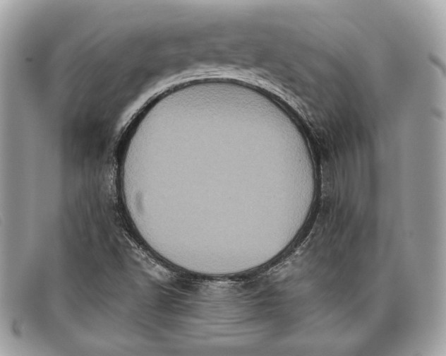 X0000098011502200804111220