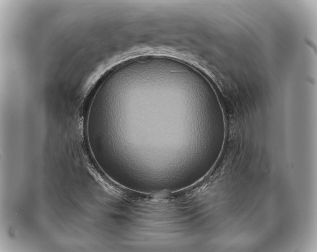 X0000098011503200804111220