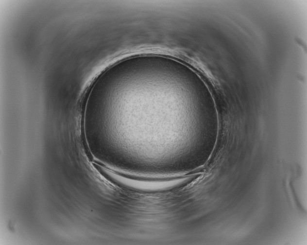 X0000098011504200804111220