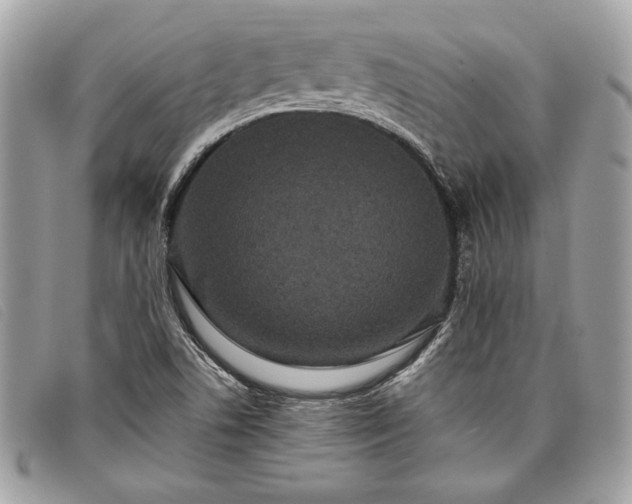 X0000098011506200804111220