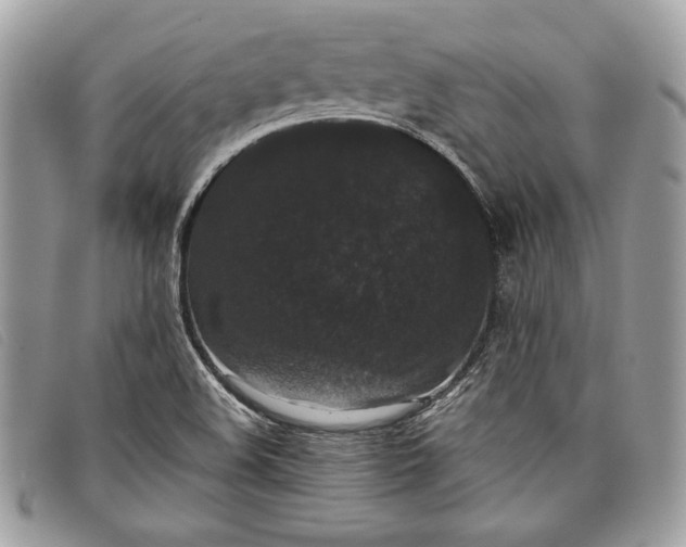 X0000098011508200804111220