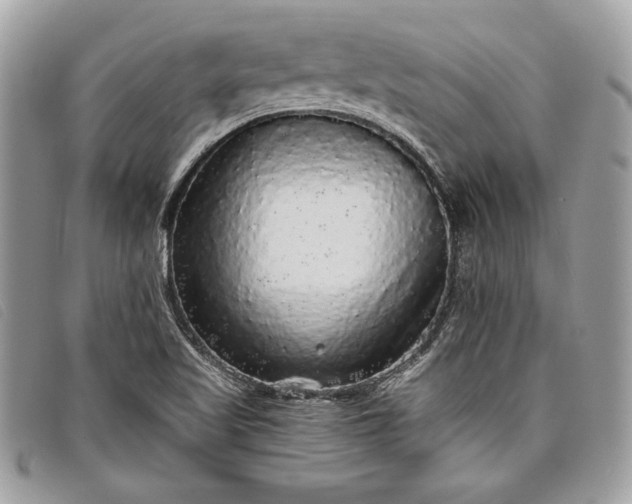 X0000098011509200804111220