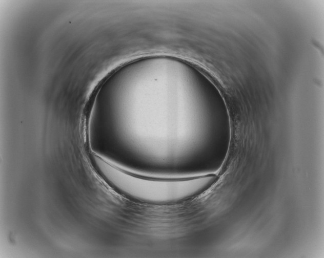 X0000098011510200804111220