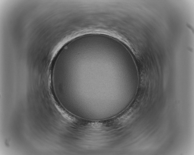 X0000098011511200804111220