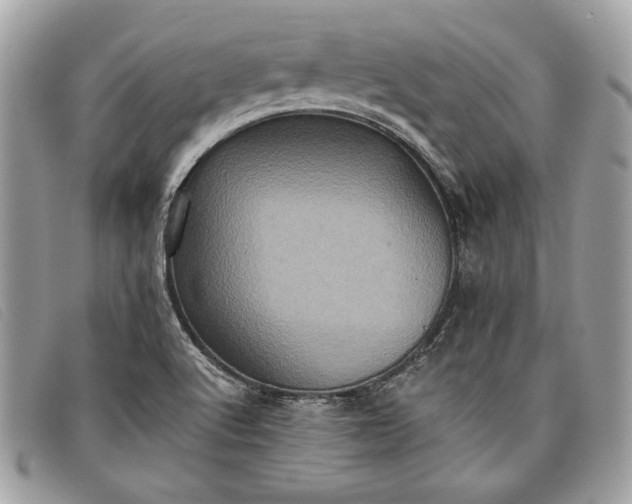 X0000098011512200804111220