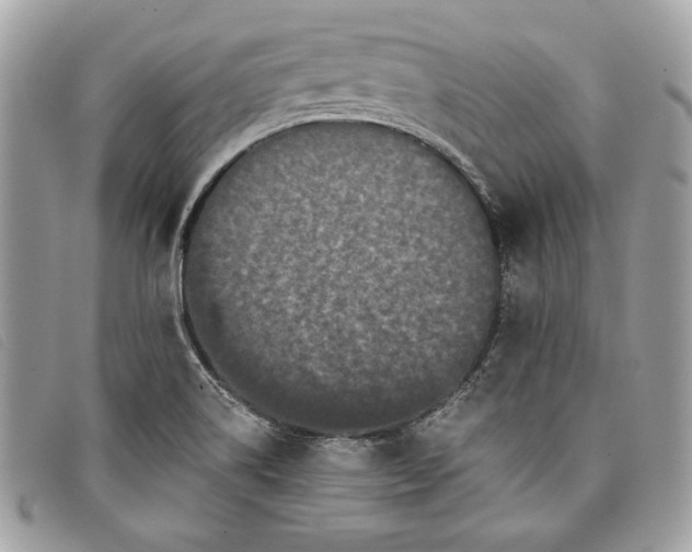 X0000098011514200804111220