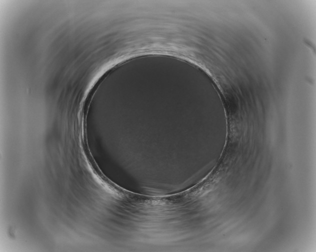 X0000098011515200804111220