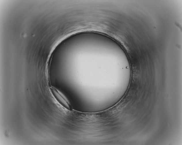 X0000098011516200804111220