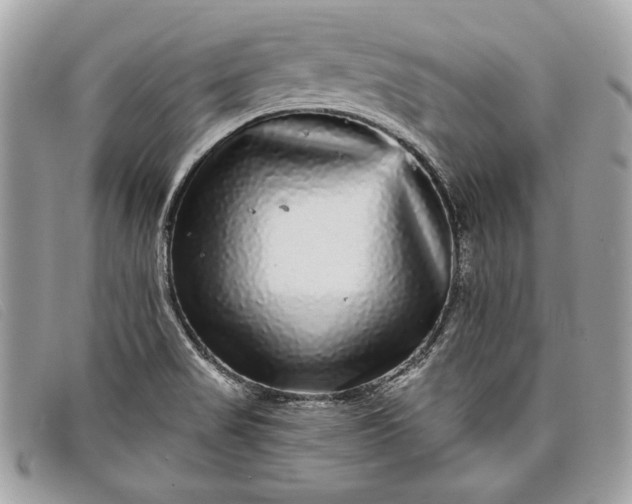 X0000098011517200804111220