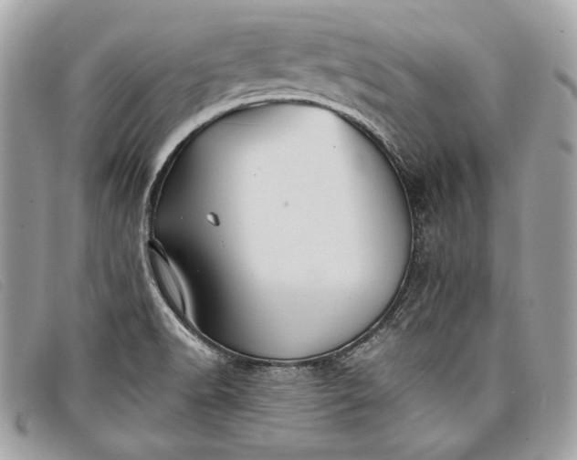 X0000098011518200804111220