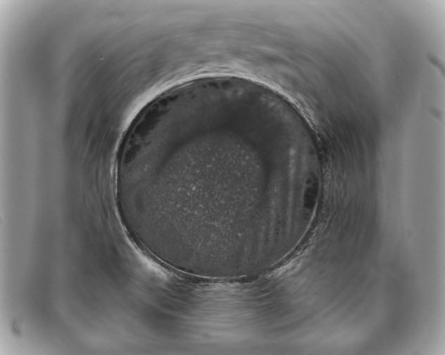 X0000098011519200804111220