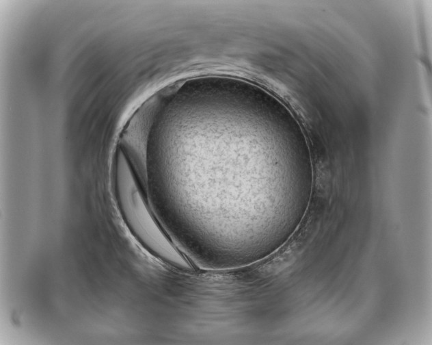 X0000098011520200804111220