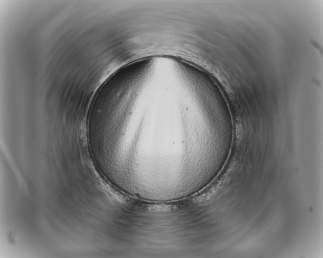 X0000098011521200804111220