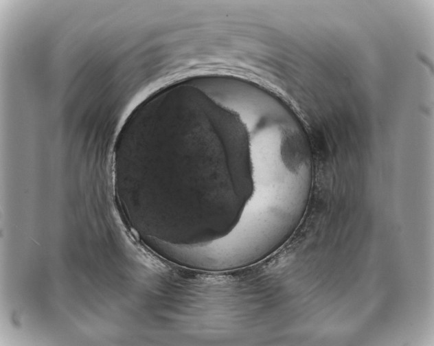 X0000098011522200804111220