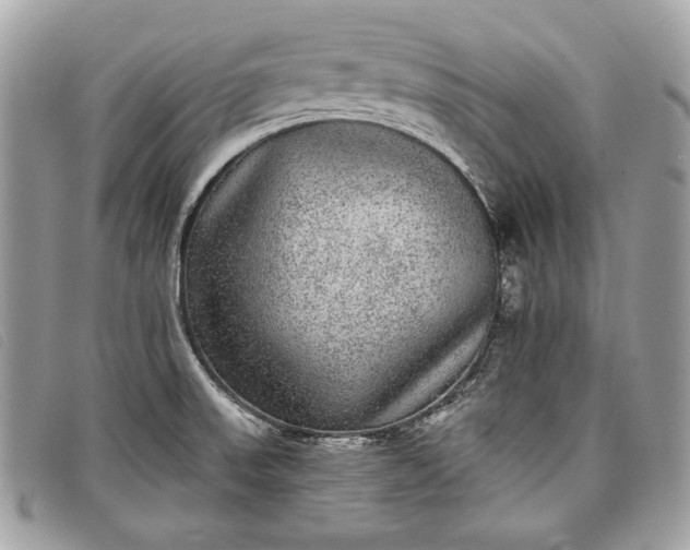 X0000098011523200804111220