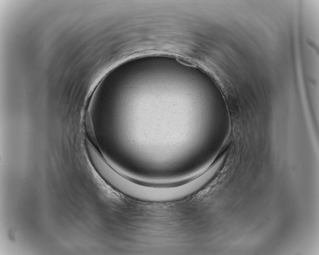 X0000098011524200804111220