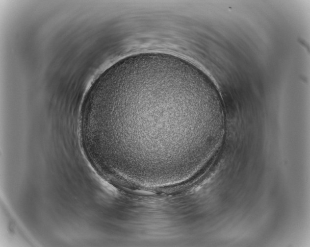 X0000098011525200804111220