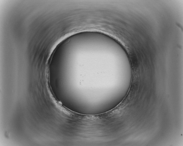 X0000098011526200804111220