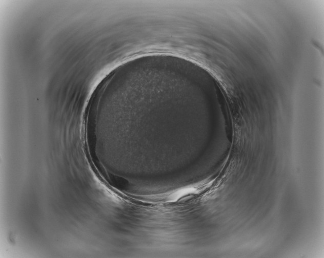 X0000098011527200804111220