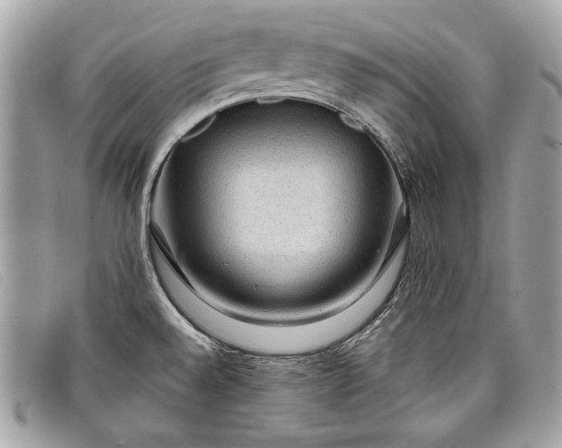 X0000098011528200804111221