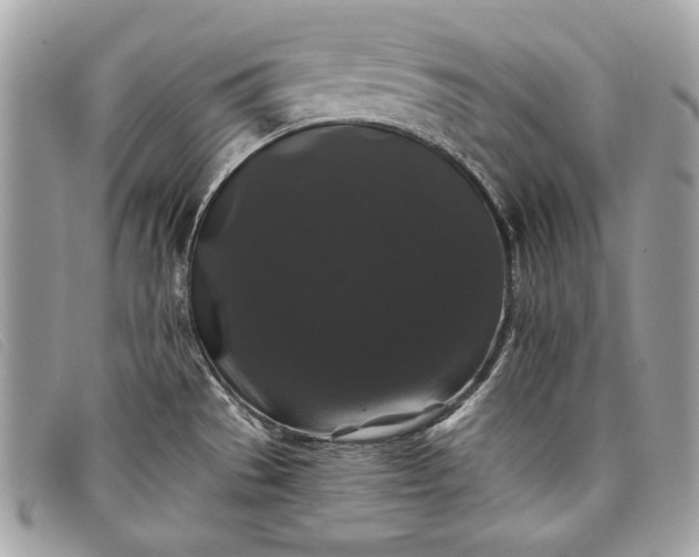 X0000098011529200804111221