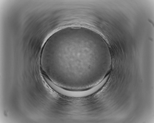 X0000098011530200804111221