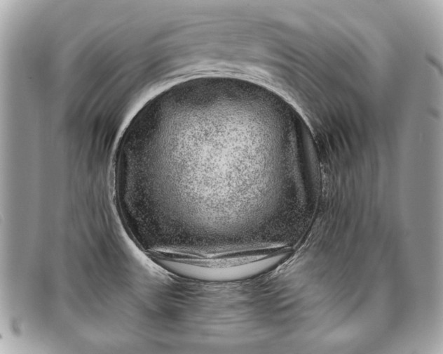 X0000098011531200804111221