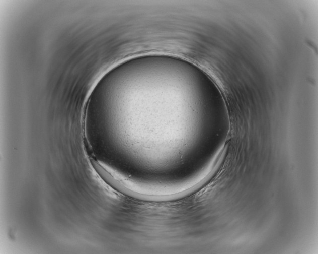 X0000098011532200804111221