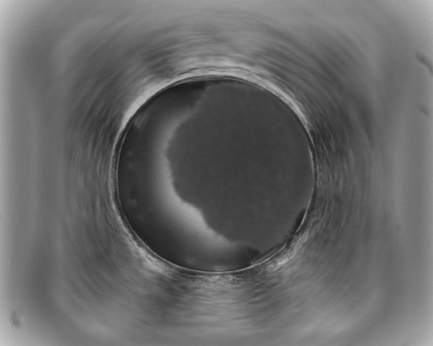 X0000098011533200804111221