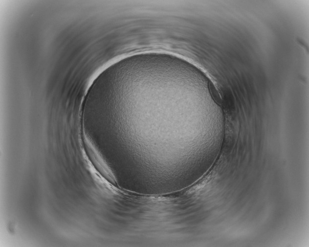 X0000098011534200804111221