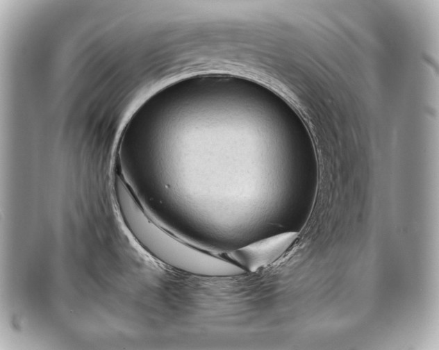 X0000098011536200804111221