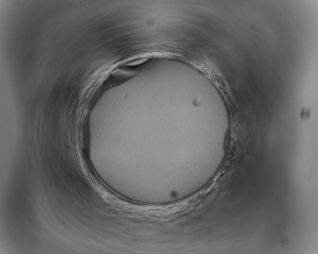 X0000098010001200804181148