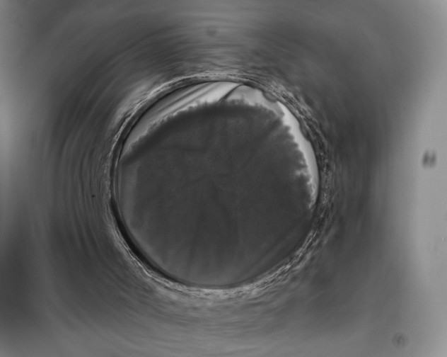 X0000098010002200804181148