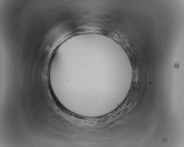 X0000098010004200804181148