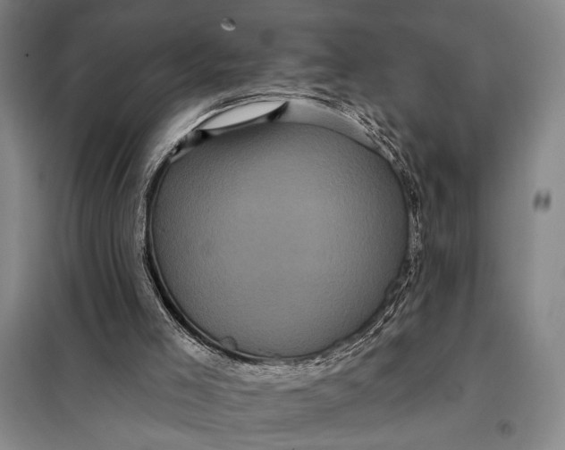 X0000098010005200804181148