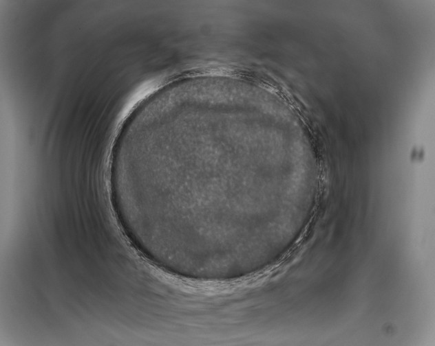 X0000098010006200804181148