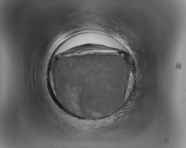 X0000098010007200804181148