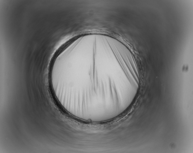 X0000098010008200804181148