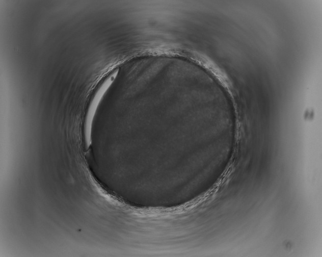 X0000098010009200804181148