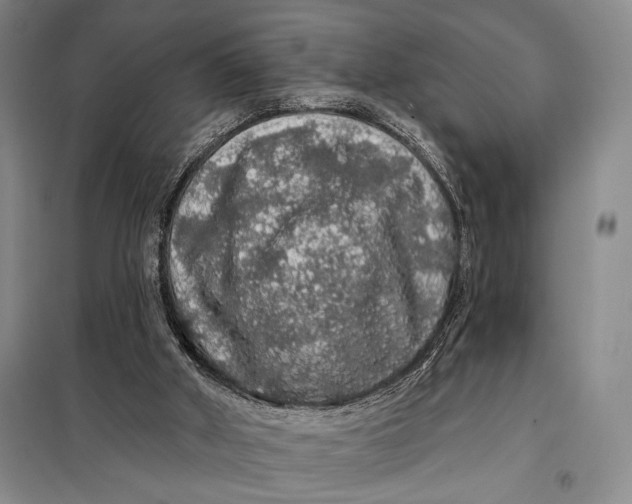 X0000098010010200804181148