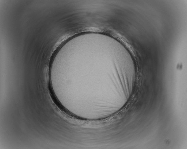 X0000098010011200804181148