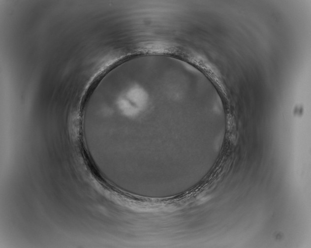 X0000098010012200804181148